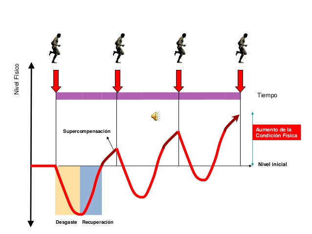 Preparación Física Bombero: la supercompensación